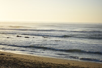 Cottage 'On the Beach'....watch the waves....from your bed!