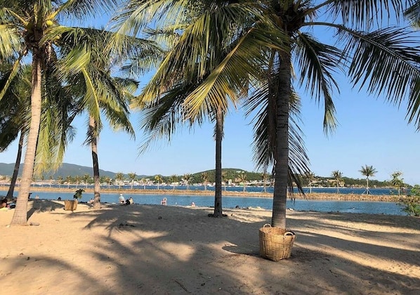 Sun-loungers, beach towels