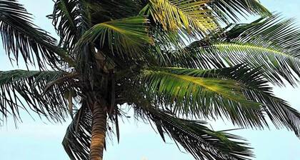 Partial Oceanview Velento#6 -2 bed/2 ba, private dock/pool/free paddleboards