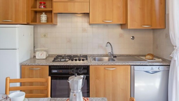 A compact kitchen with wooden cabinets, a gas stove, a sink, and a dishwasher.