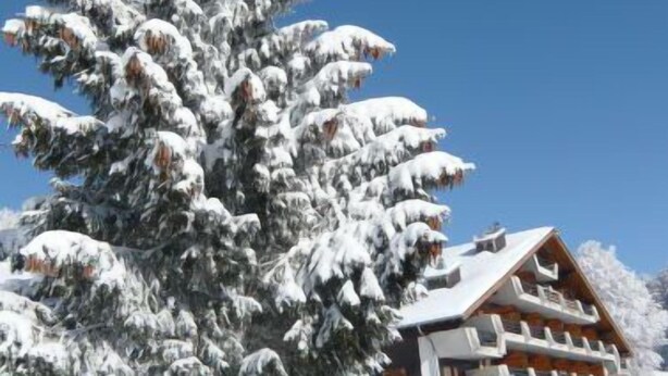 Una cabaña nevada con un gran pino al frente, una cabaña de madera y un cielo azul despejado.