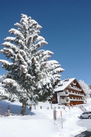 Ein mit Schnee bedecktes Chalet mit einer großen Kiefer vor der Fassade, eine Holzjagdhütte und ein klarer, blauer Himmel.