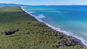 Vista aèria d'una zona costanera amb vegetació verda abundant i un oceà blau clar.