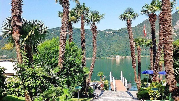 A pathway leading to a body of water with palm trees and greenery on either side.