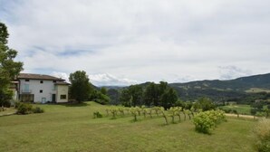 A house with a white exterior, a small garden, and a vineyard in the background. - Vacation home Busani by Interhome (Salsomaggiore Terme)