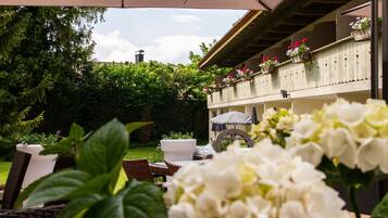 Terras