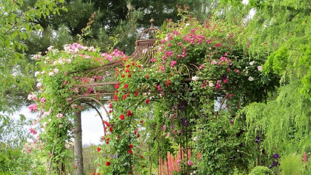 A garden with a pergola covered in flowering vines and roses. - Comfortable cottage with large private garden and WIFI (Channay-sur-Lathan)