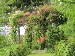 Puutarha, jossa on kukkivilla köynnöksillä ja ruusuilla peitetty pergola.
