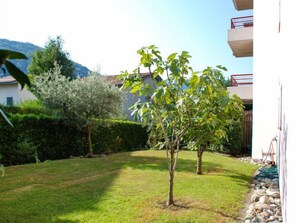 A well-maintained garden with a small tree, a hedge, and a building in the background.