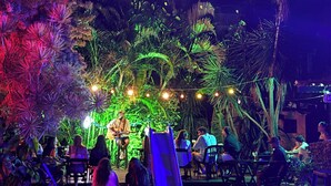 An outdoor pool area with palm trees and a stage for live music. - Numa Boa Hostel (Búzios)