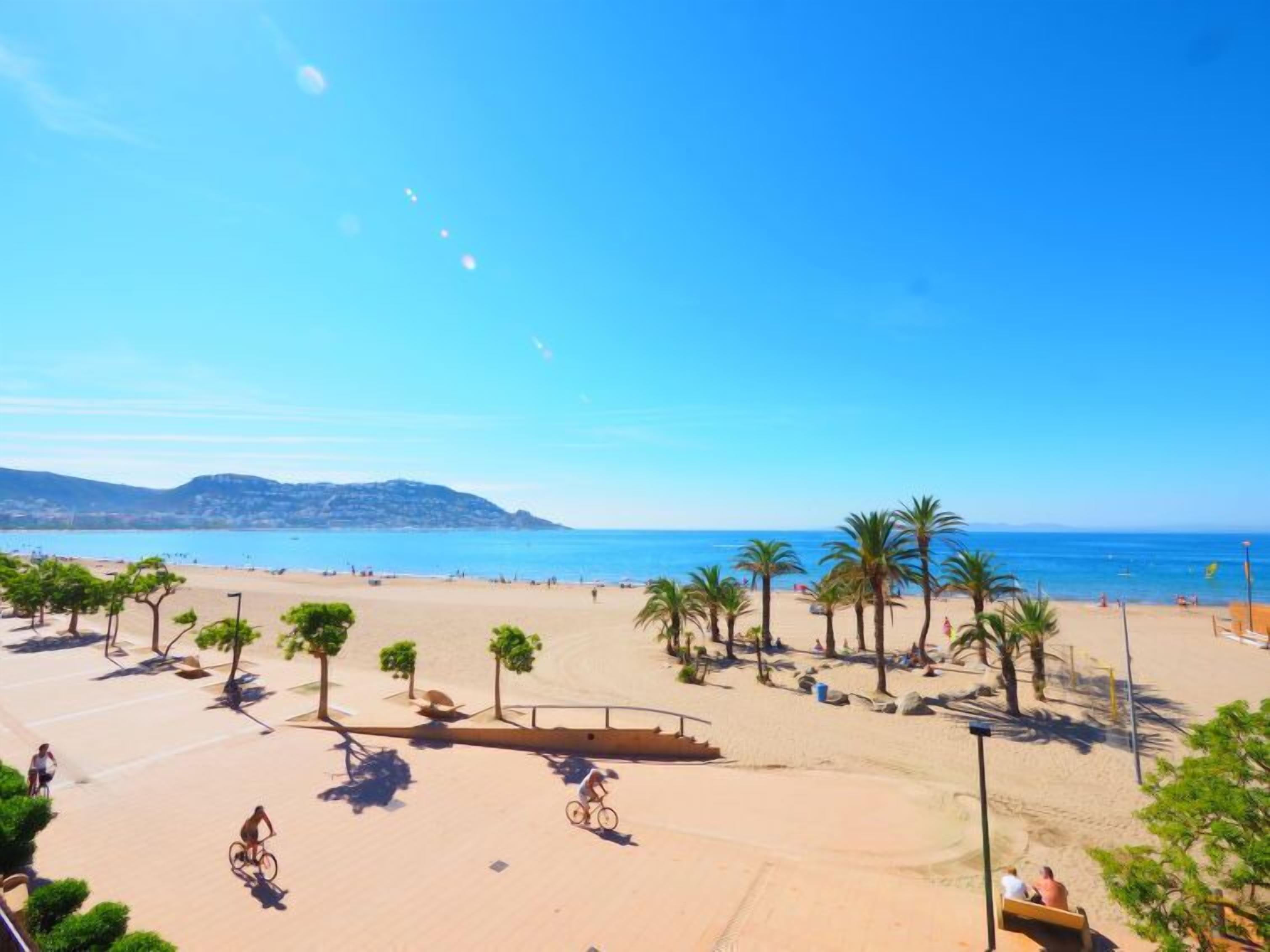 A beach with palm trees, a bike path, and a view of the sea.