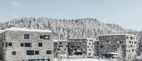 Un complejo de edificios moderno con varios pisos y grandes ventanales, rodeado de árboles cubiertos de nieve y un cielo despejado.