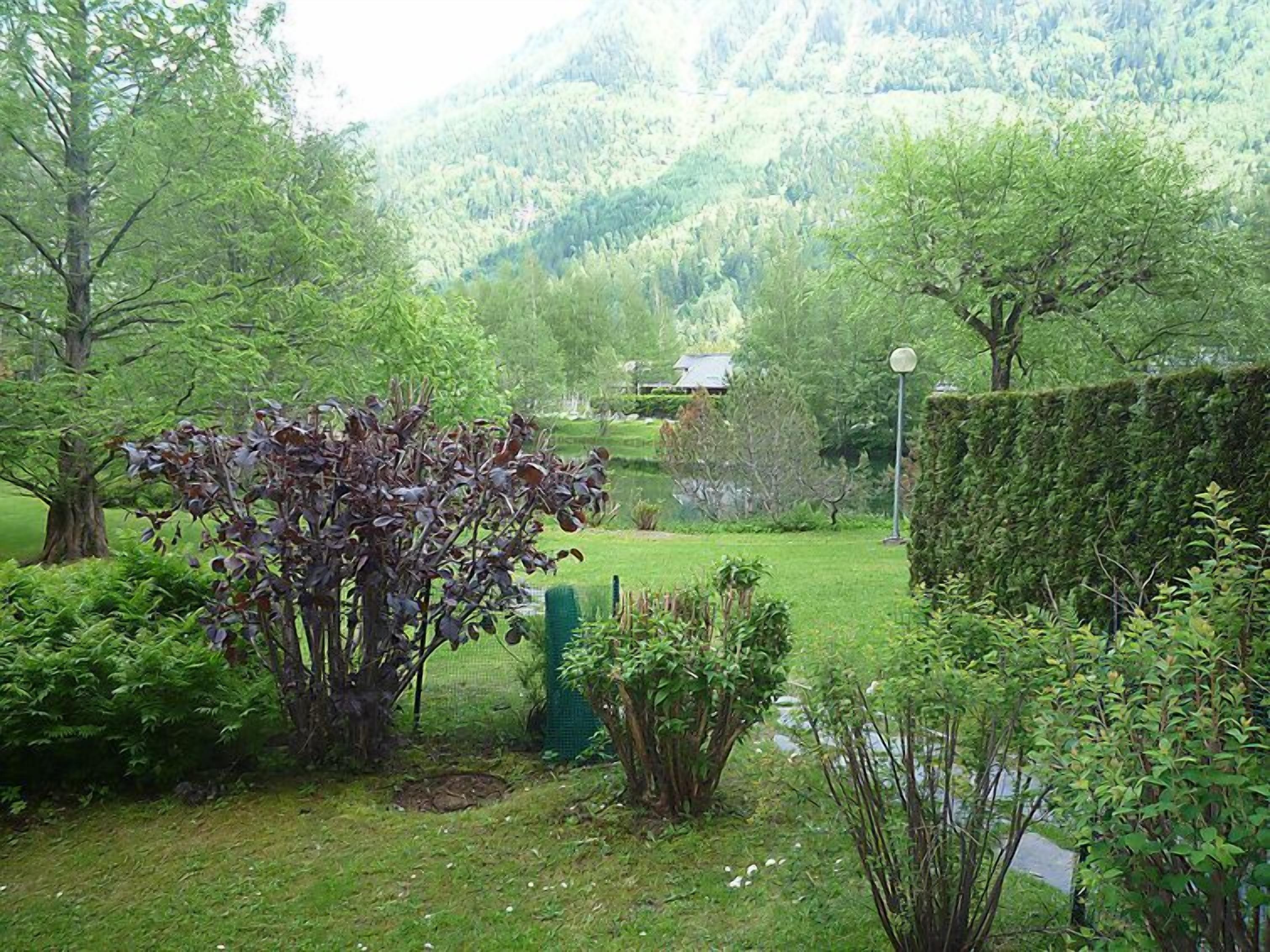 Um jardim com várias plantas e um bordado.