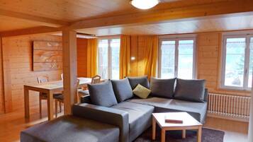 Fernseher, DVD-Player