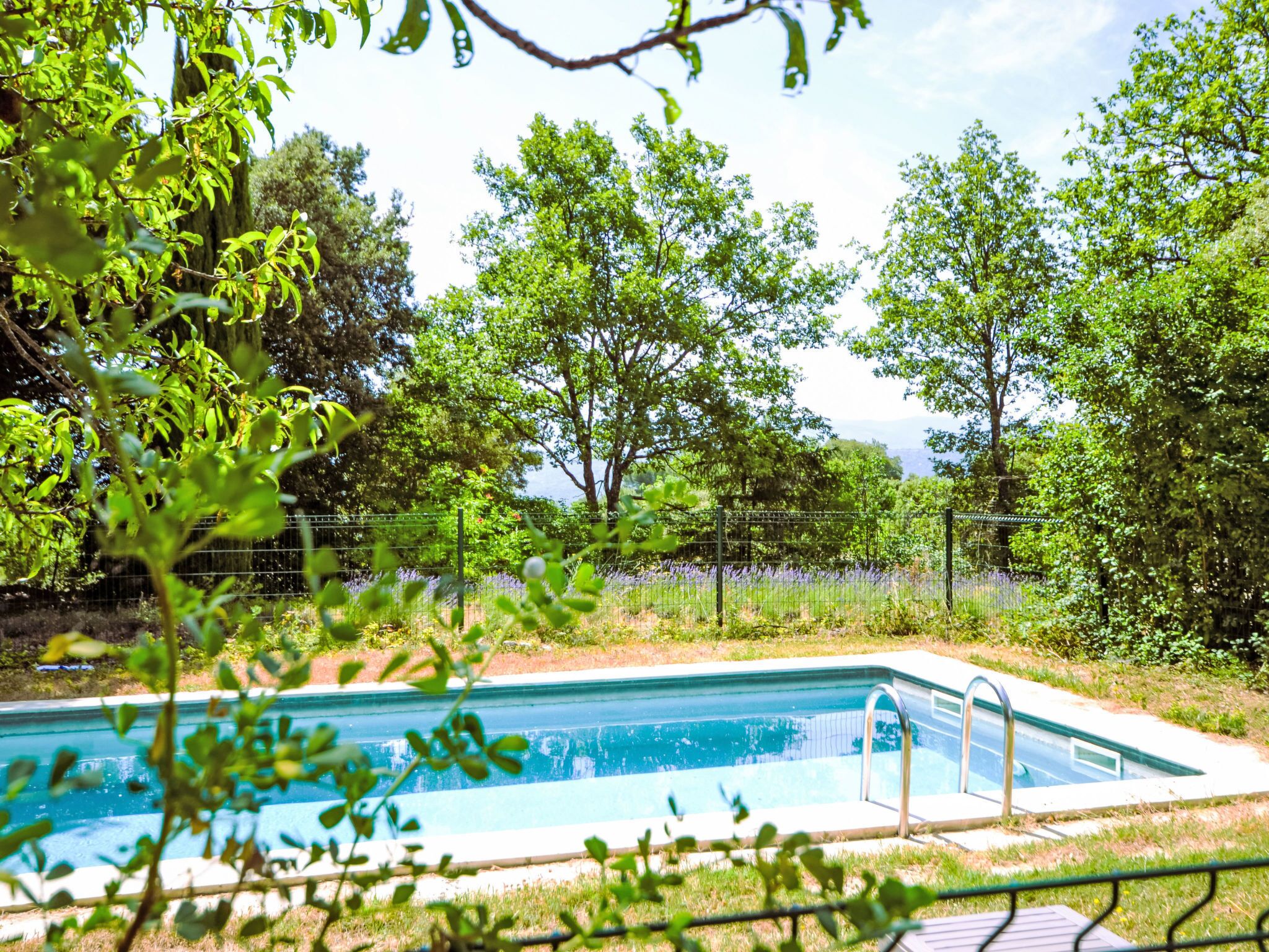 Piscina rectangular con escalera de metal, rodeada de exuberante vegetación y árboles.