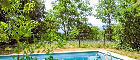 Piscina rectangular con escalera de metal, rodeada de exuberante vegetación y árboles.