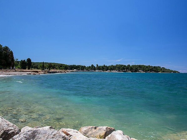 بالقرب من الشاطئ