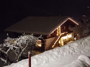 Exterior - Chalet Bärgsunna by Interhome (Grindelwald)