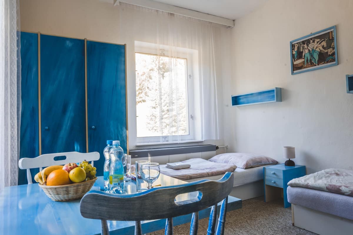 Design Twin Room, Garden View | Blackout curtains, free rollaway beds, free WiFi, bed sheets