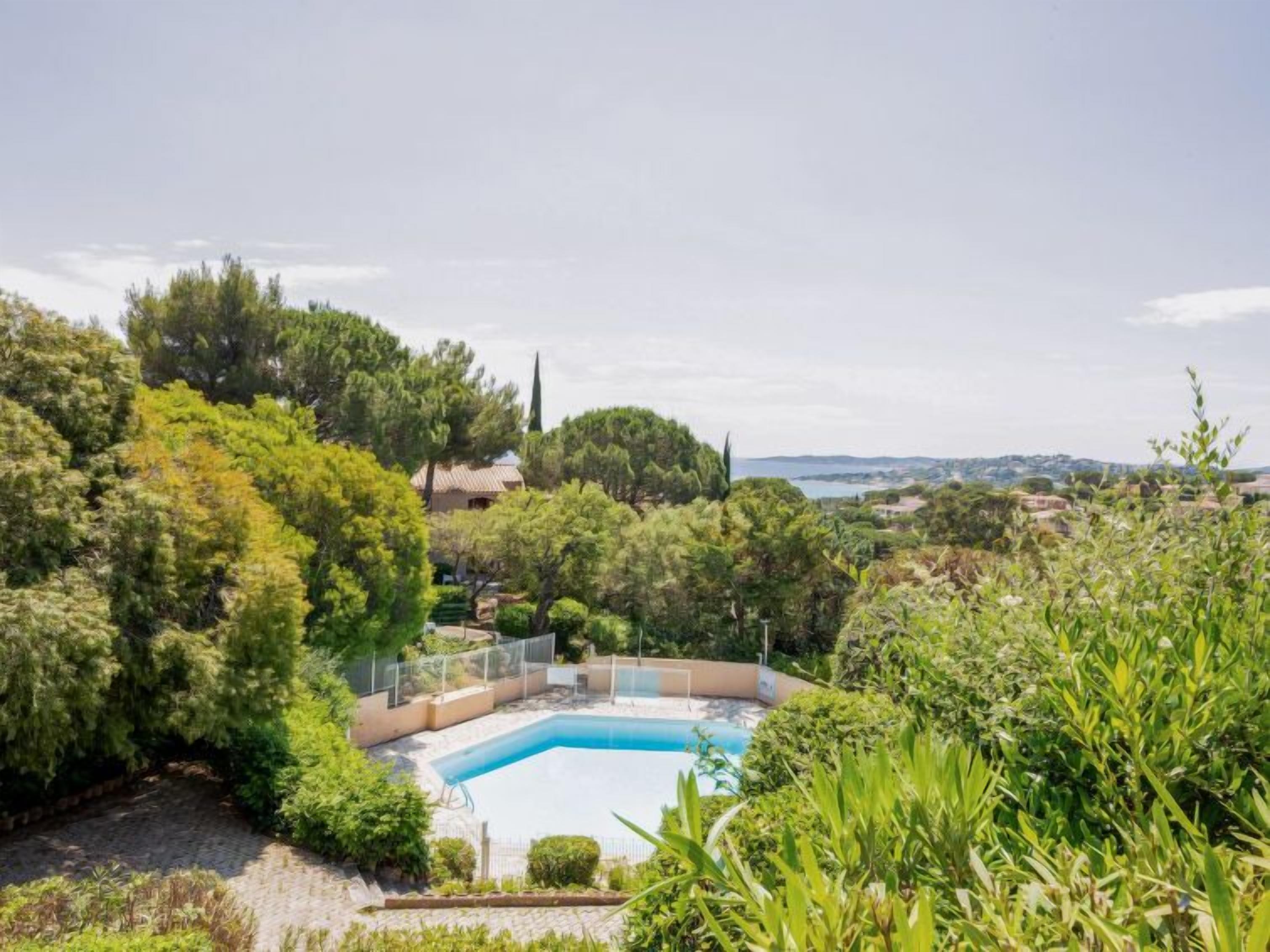 Una piscina rodeada de exuberante vegetación y vista al mar.