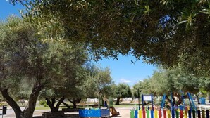 Ein Park mit Olivenbäumen, einem Spielplatz und einer blauen Spielanlage.