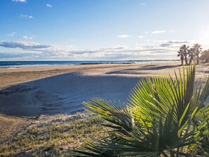 Nära stranden