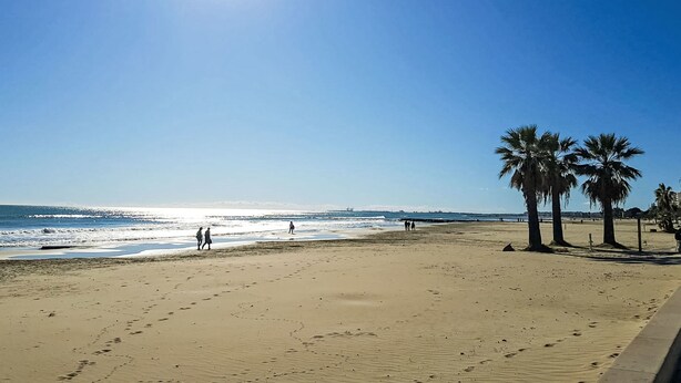 Ein Strand mit Palmen und Fußabdrücken im Sand.