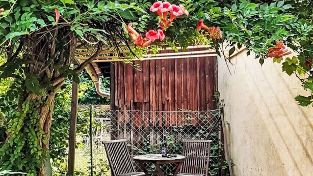 Une terrasse en bois avec une table et des chaises, entourée d’une végétation luxuriante et d’une clôture en bois.