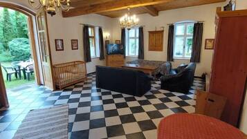 Fernseher, Kamin, DVD-Player