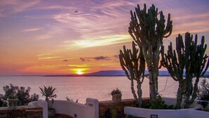 A patio with a view of the sunset over the sea, featuring cacti and potted plants. - La Rosa sul Mare by Interhome (Siracusa)