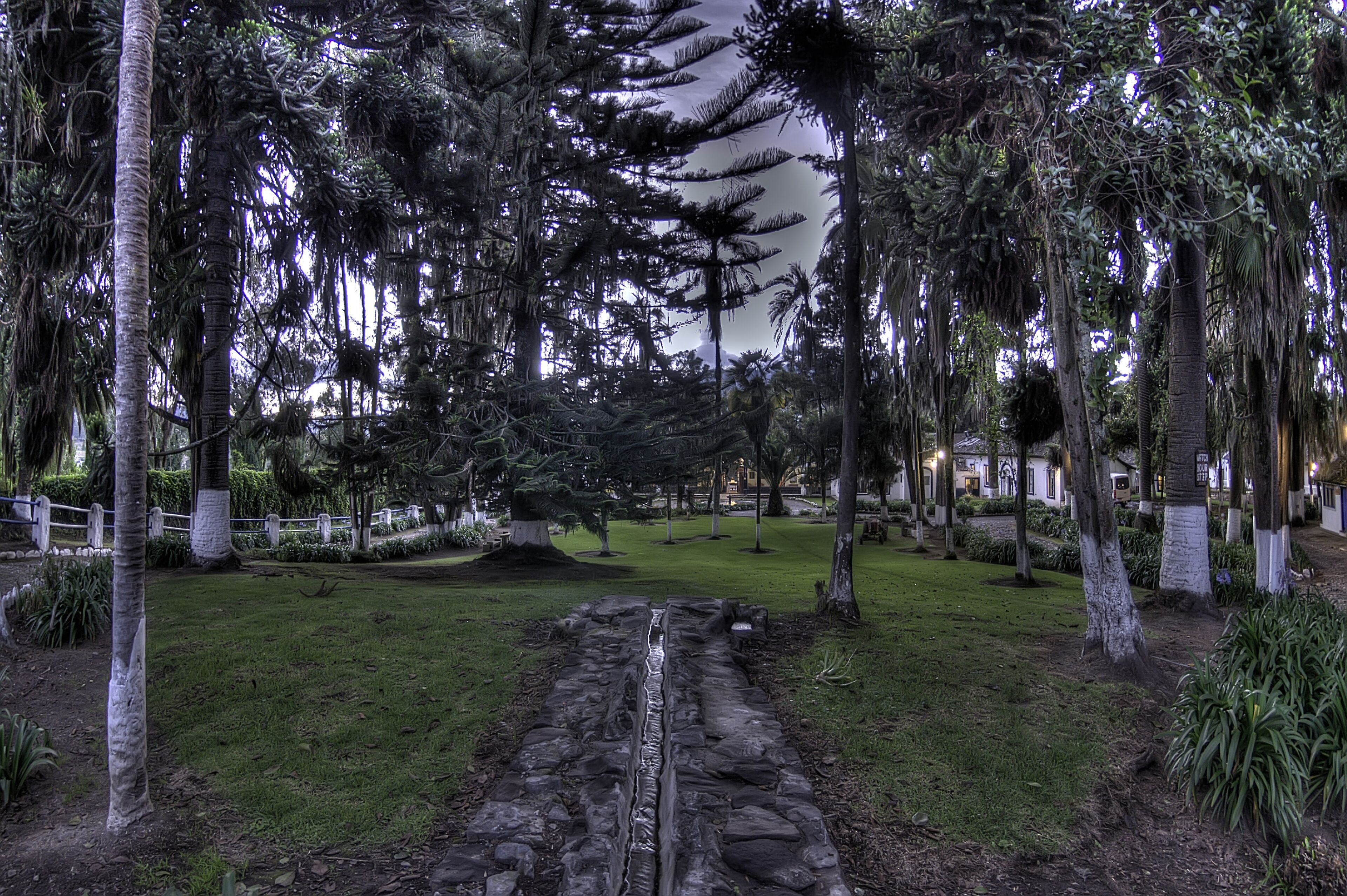 A pathway flanked by trees and a stone wall, leading to a building with a white facade.