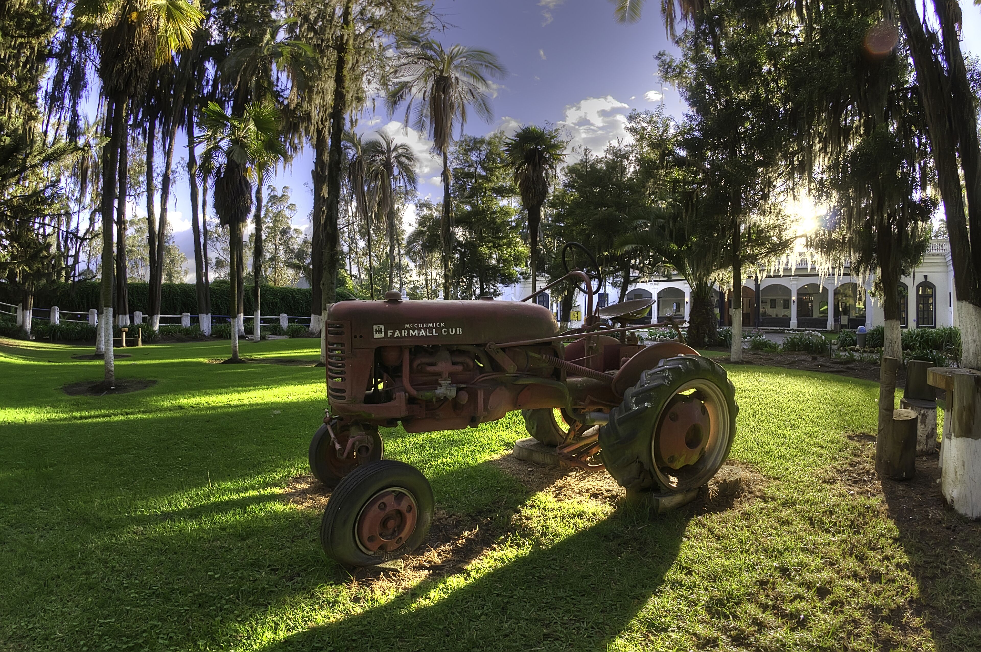 A vintage tractor in a grassy area with palm trees and a building in the background.