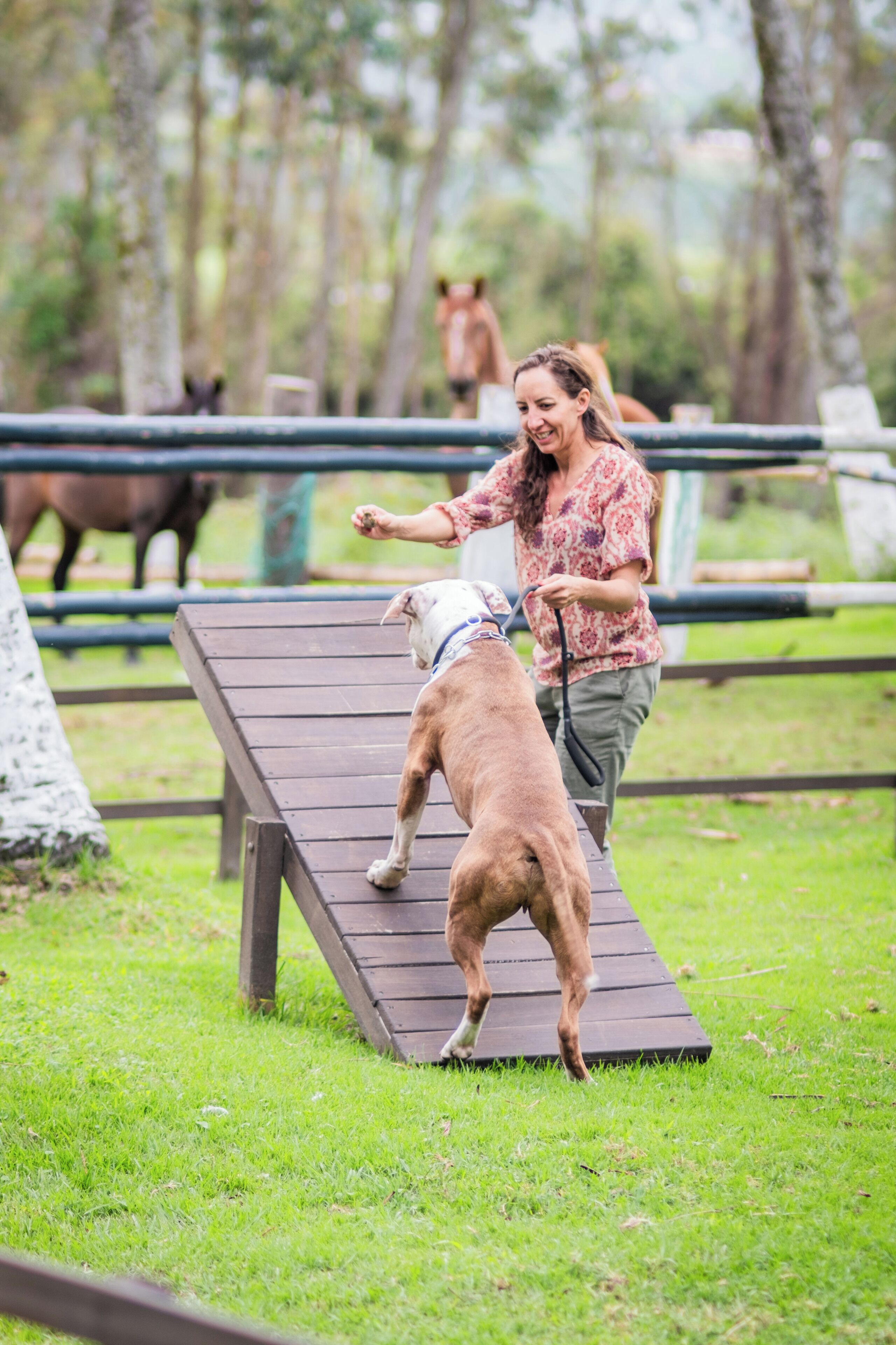 A person leading a dog on a ramp in a grassy area with trees and a horse in the background.