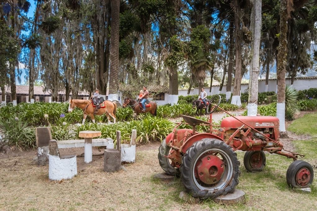 A vintage tractor and horse-drawn carriage in a garden setting with trees and a white fence.