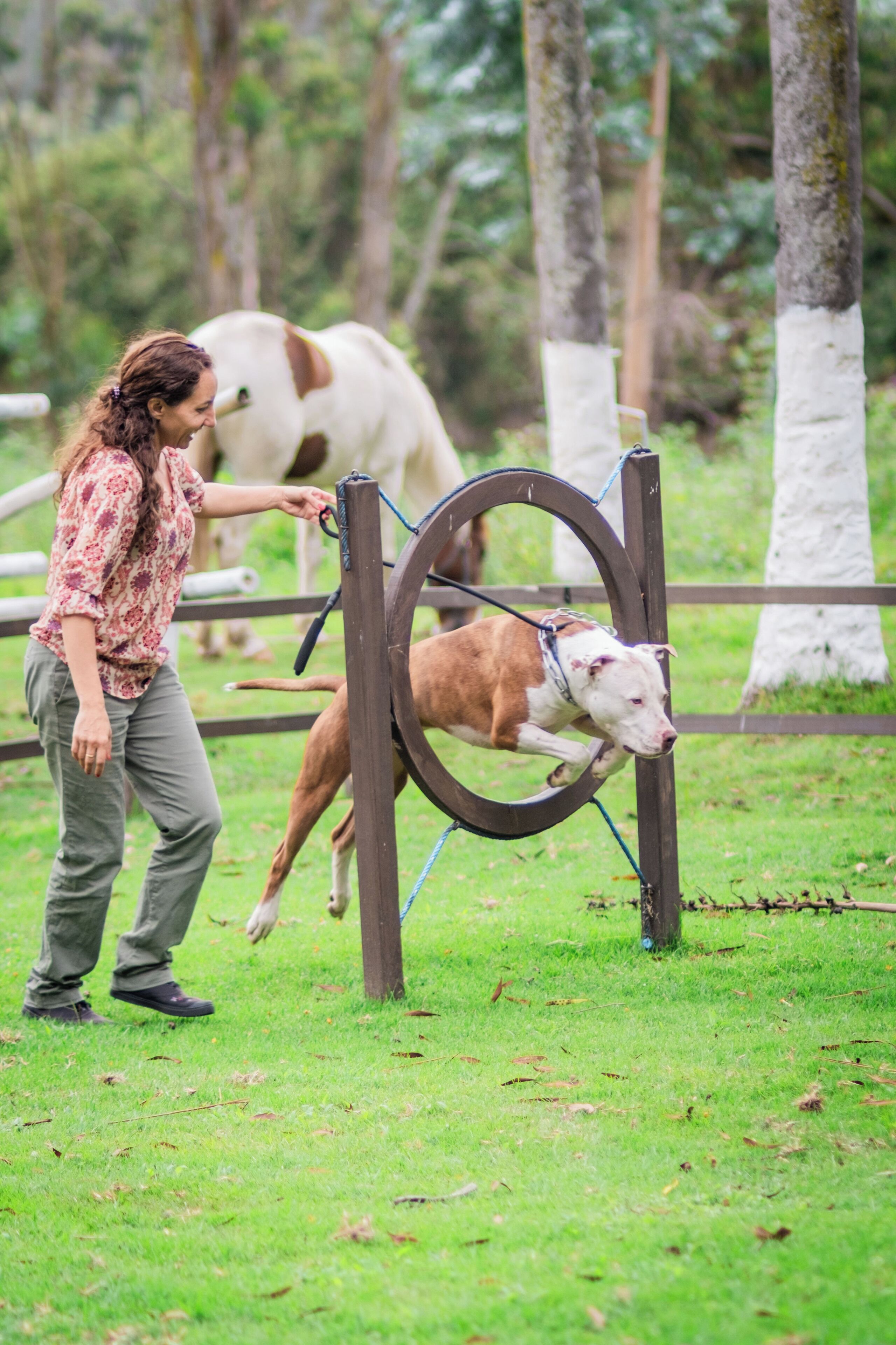 Una persona guiando a un perro a través de un portón en un área con césped y árboles al fondo.