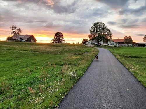 Les Grangettes by Interhome