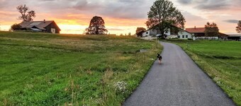 Les Grangettes by Interhome