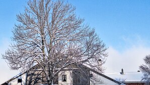 A snow-covered building with a large tree in front.