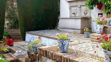 Terrein van de accommodatie