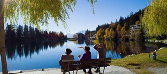 Cransalpin Apt. 3 / Secteur 1 by Interhome