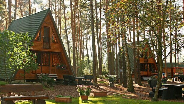 A wooden cabin with a sloped roof, surrounded by a forest. There are picnic tables and benches, and a small garden area with potted plants. - Nepumuk by Interhome (Arendsee)