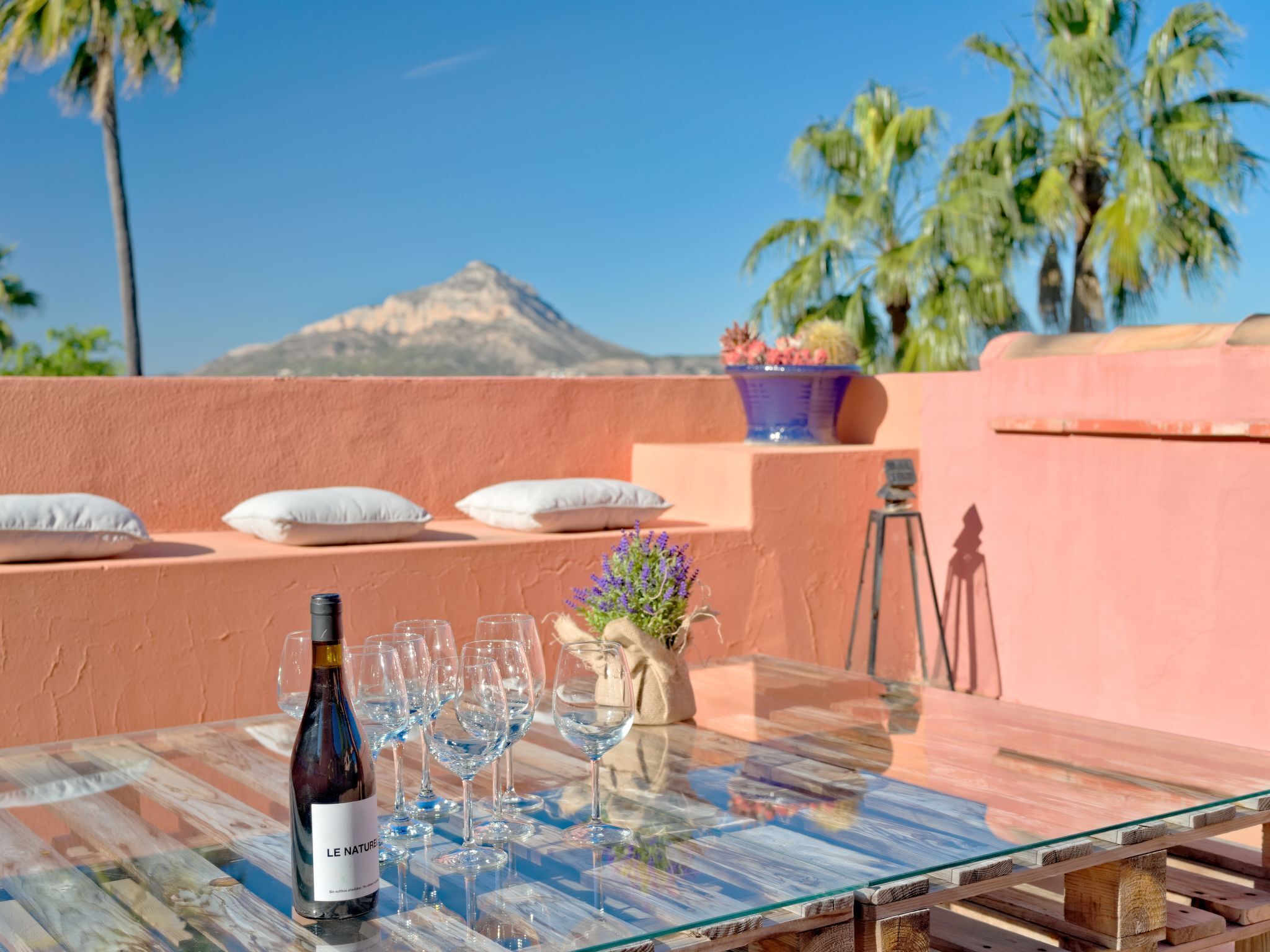 A table with a bottle and glasses, a potted plant, and a view of a mountain.