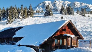 A wooden cabin with a sloped roof, surrounded by snow-covered ground and trees, with a mountain range in the background. - Apartment Lanner by Interhome (Axams)
