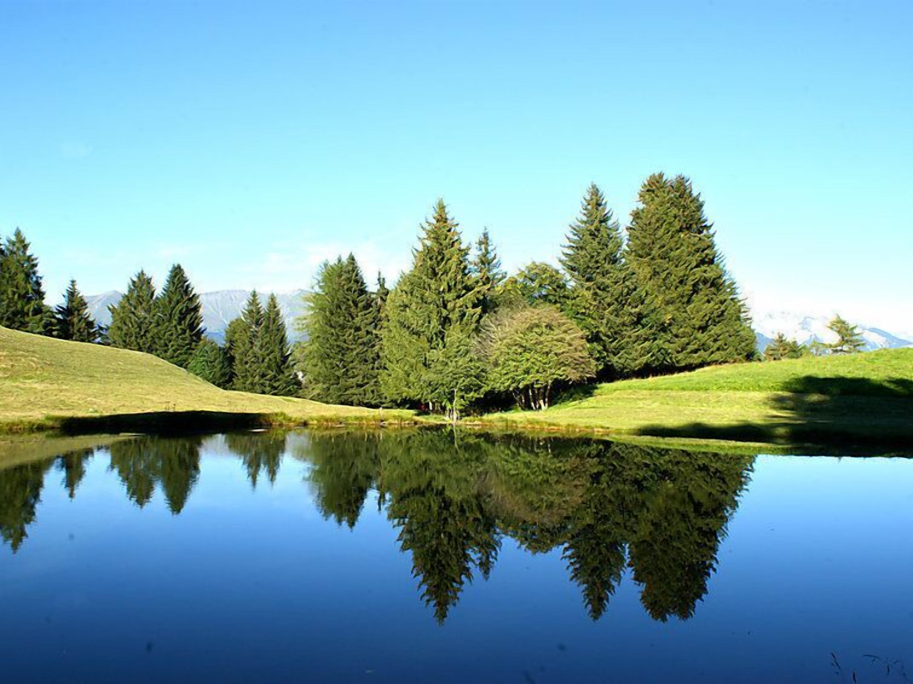 A calm lake reflecting trees and a clear sky.