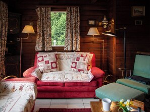 Fernseher, Kamin, DVD-Player