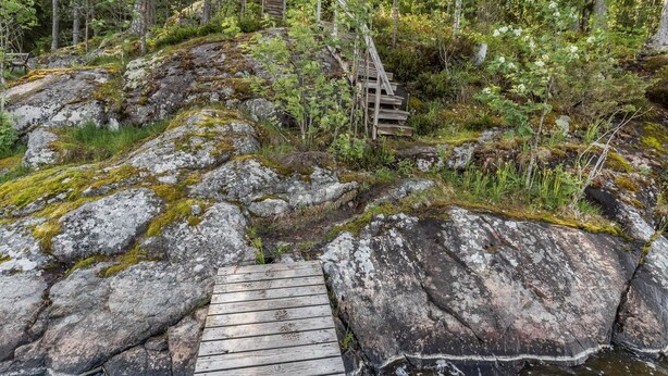 A wooden bridge over a rocky stream in a forested area.