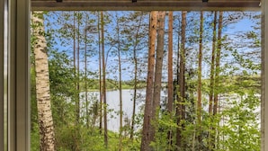 A view of a forest with tall trees and a body of water.