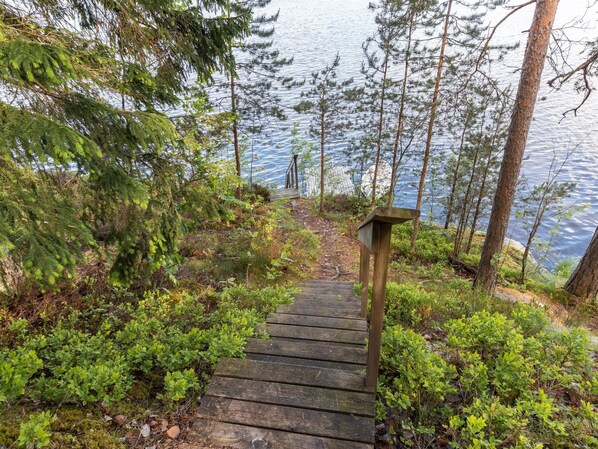 A wooden pathway leading to a dock over water, surrounded by dense greenery and trees.