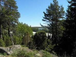 A natural landscape with dense trees and a large rock formation.