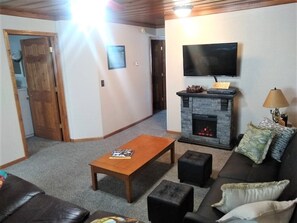 TV, fireplace, video games, DVD player